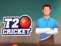 Gra T20 Cricket