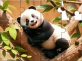 Gra Jigsaw Puzzle: Panda On Tree