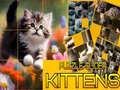 Gra Puzzle Sliding Kittens