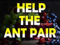 Gra Help The Ant Pair