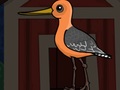Gra Cute Godwit Escape