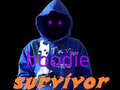 Gra Hoodie Survivor