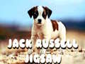 Gra Jack Russell Jigsaw