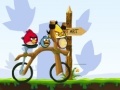Gra Angry Birds Bike Revenge