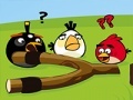 Gra Angry Birds Go Crazy