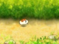 Gra Running Hamster