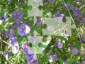 Gra Flowers Jigsaw