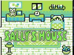Gra Sally's House