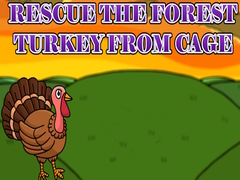 Gra Rescue the Forest Turkey from Cage