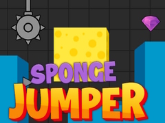 Gra Sponge Jumper
