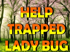 Gra Help Trapped Lady Bug