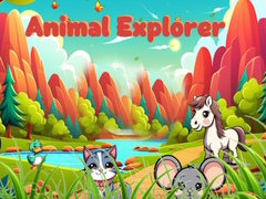 Gra Animal Explorer 