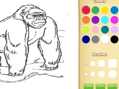 Gra Zoo Animals Coloring Book for Kids