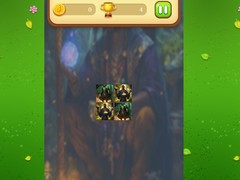 Gra Magic Druid Memory Match