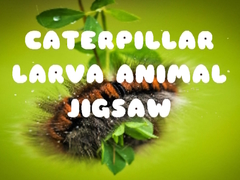 Gra Caterpillar Larva Animal Jigsaw