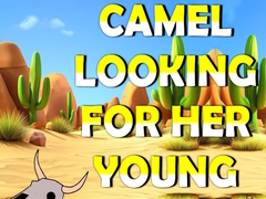 Gra Camel Looking For Her Young