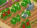 Gra New Farmer 2