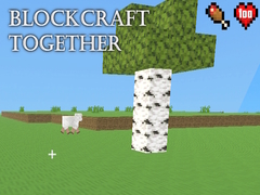 Gra BlockCraft Together