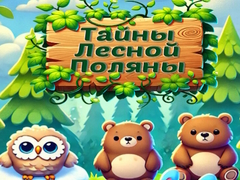 Gra Forest Glade Mysteries