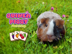 Gra Guinea Piggy Matching