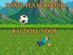 Gra Voxel Playground: Ragdoll Noob