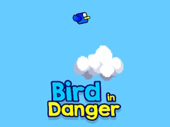 Gra Bird in Danger