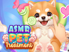 Gra ASMR Pet Treatment