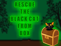 Gra Rescue the Black Cat from Box