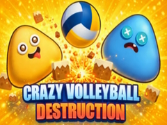 Gra Crazy Volleyball Destruction