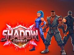 Gra Shadow Combat