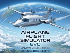 Gra Airplane Flight Simulator EVO