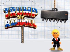 Gra Trump the Ragdoll