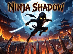 Gra Ninja Shadow