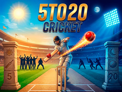 Gra 5TO20 Cricket