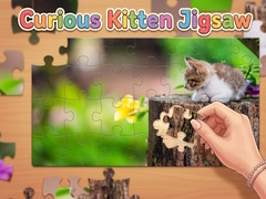 Gra Curious Kitten Jigsaw