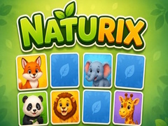 Gra Naturix