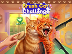 Gra Brush Cat Challenge 