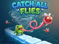 Gra Catch All Flies