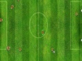 Gra Virtual Football Cup 2010