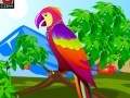 Gra Decor the Cute Parrot