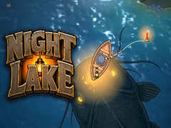 Gra Night Lake