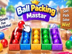 Gra Packing Master Puzzle