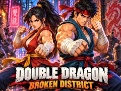Gra Double Dragon Broken District