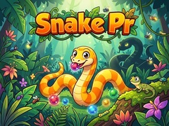 Gra Snake Pr