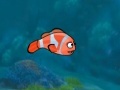 Gra Fish Racing