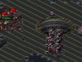Gra Starcraft Flash RPG