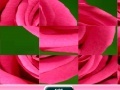 Gra Rose Sliding Puzzle