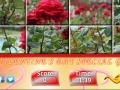 Gra Puzzle Craze - Rose Garden