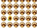 Gra Thanksgiving Day Matching Game