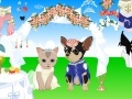 Gra Pet Wedding Dress up